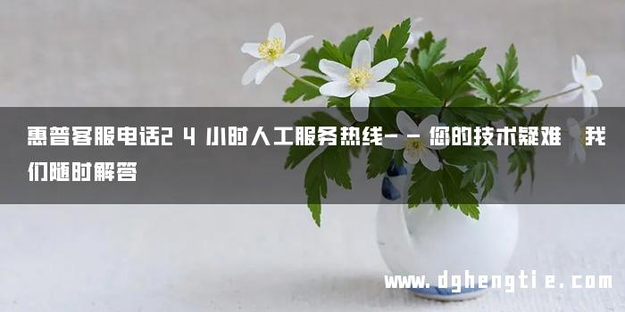 惠普客服电话24小时人工服务热线——您的技术疑难 我们随时解答